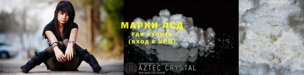 трава Аркадак