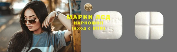 трава Аркадак