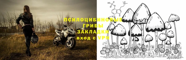 трава Аркадак