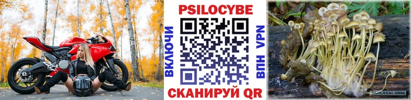 Псилоцибиновые грибы Psilocybe  наркотики  Калуга 