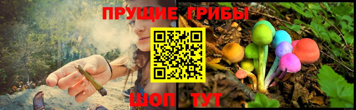Псилоцибиновые грибы мицелий Калуга